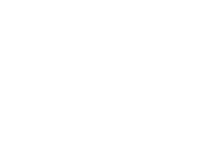 Diverse Leaders in Tech